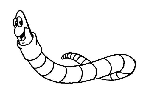 Caterpillar  From Maya The Bee Coloring Page